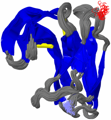 Image NMR Structure - all models