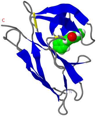 Image NMR Structure - model 1