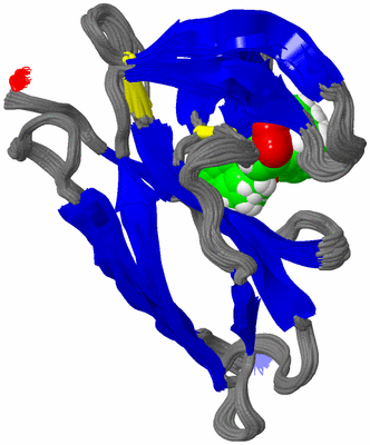 Image NMR Structure - all models