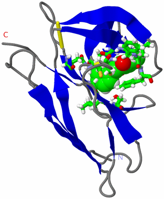 Image NMR Structure - model 1, sites