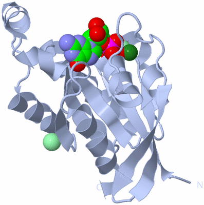 Image Biological Unit 1