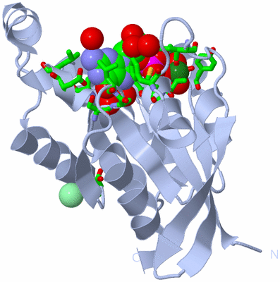 Image Biol. Unit 1 - sites