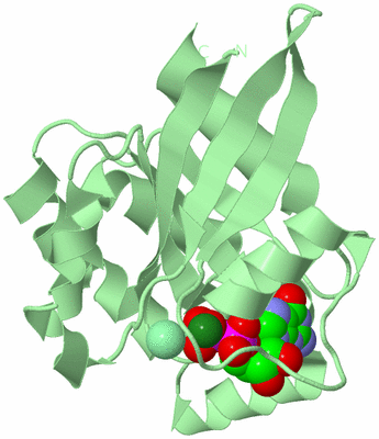 Image Biological Unit 2