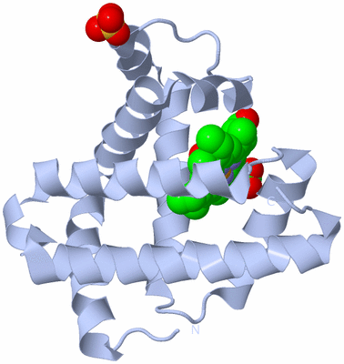 Image Biological Unit 1