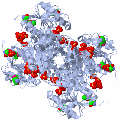 Image Biological Unit 1