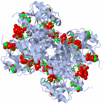 Image Biol. Unit 1 - sites