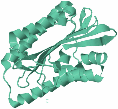 Image Biological Unit 11