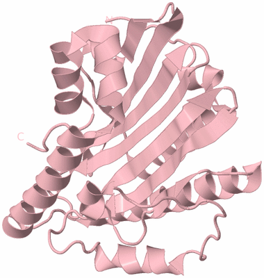 Image Biological Unit 3