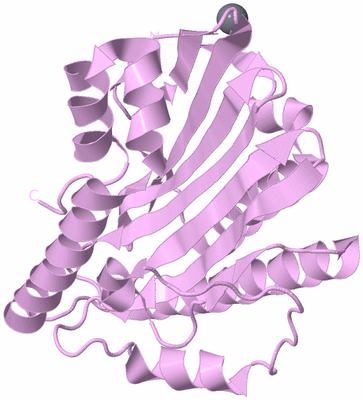 Image Biological Unit 5