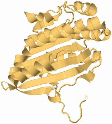 Image Biological Unit 7