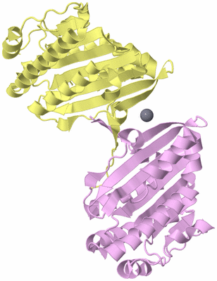 Image Biological Unit 9