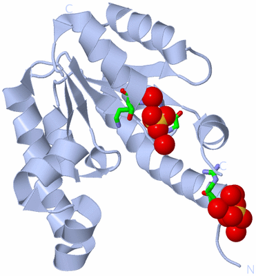 Image Biol. Unit 1 - sites