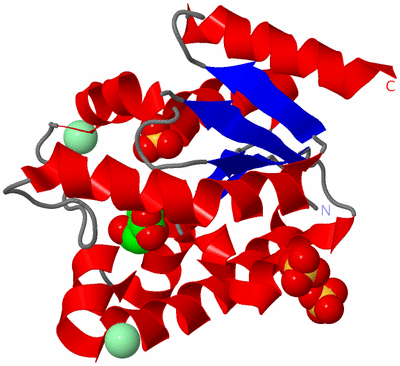 Image Asym./Biol. Unit