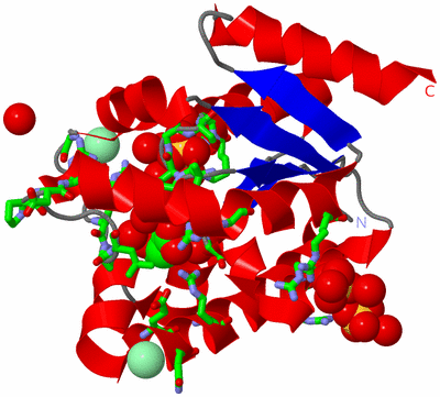 Image Asym./Biol. Unit - sites