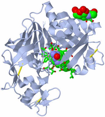 Image Biol. Unit 1 - sites