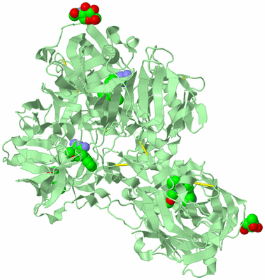 Image Biological Unit 4