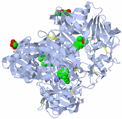 Image Biological Unit 5