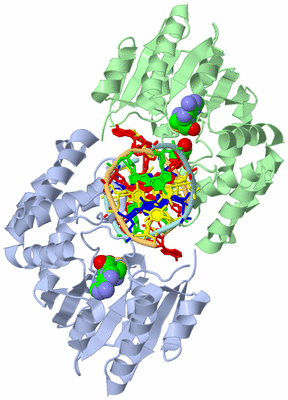 Image Asym./Biol. Unit