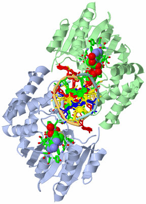 Image Asym./Biol. Unit - sites