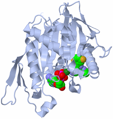 Image Biological Unit 1