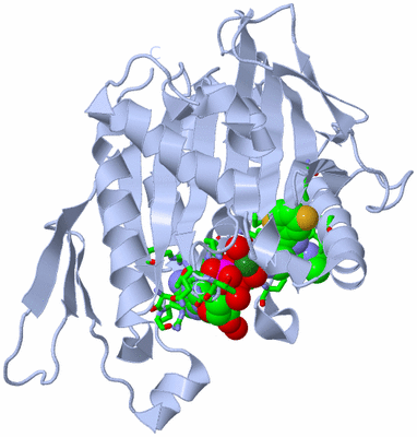 Image Biol. Unit 1 - sites