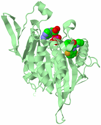 Image Biological Unit 2