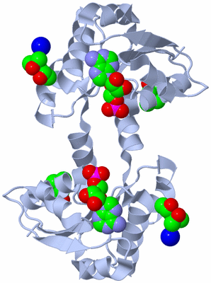 Image Biological Unit 1