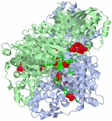 Image Asym./Biol. Unit - sites