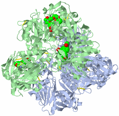 Image Biological Unit 3