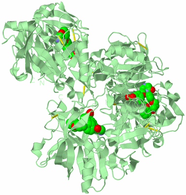 Image Biological Unit 4