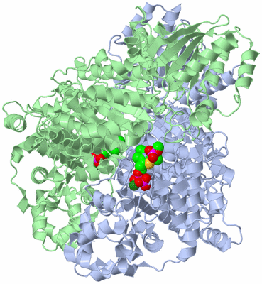 Image Asym./Biol. Unit