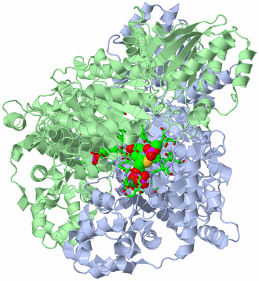 Image Asym./Biol. Unit - sites