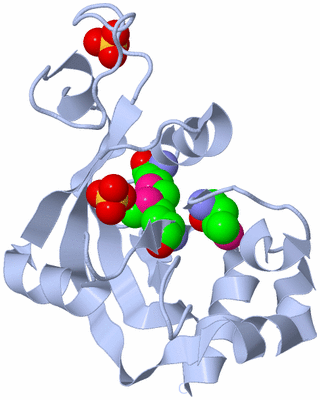 Image Biological Unit 1