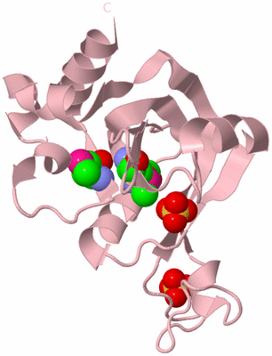 Image Biological Unit 3