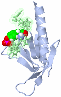 Image NMR Structure - model 1