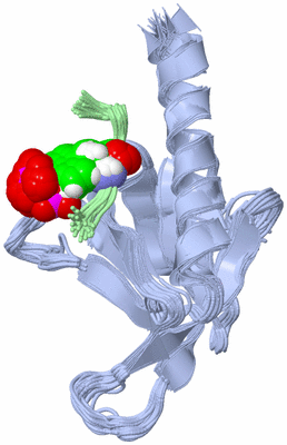 Image NMR Structure - all models