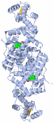 Image Biological Unit 1