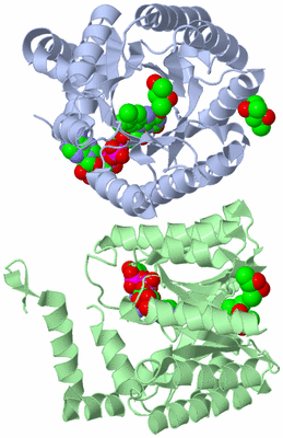 Image Asym./Biol. Unit