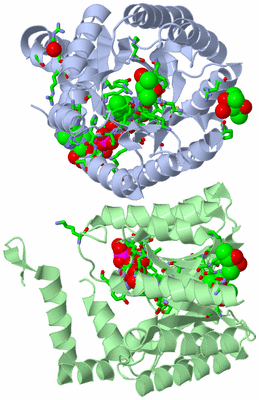 Image Asym./Biol. Unit - sites