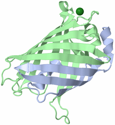 Image Asym./Biol. Unit