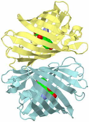 Image Biological Unit 3