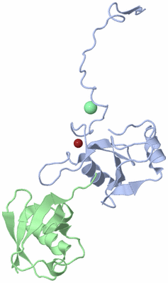 Image Biological Unit 1