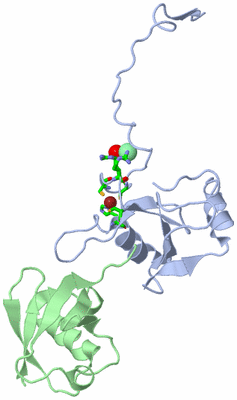 Image Biol. Unit 1 - sites