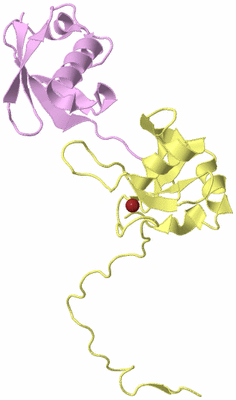 Image Biological Unit 2