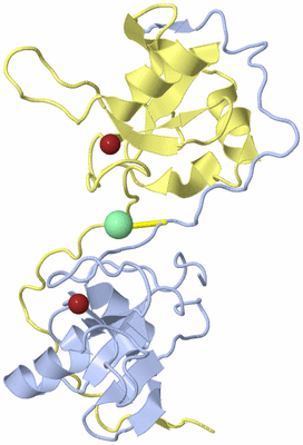 Image Biological Unit 3