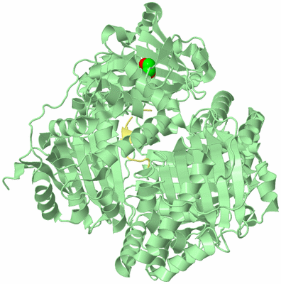 Image Biological Unit 2