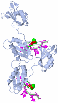 Image Biol. Unit 1 - sites