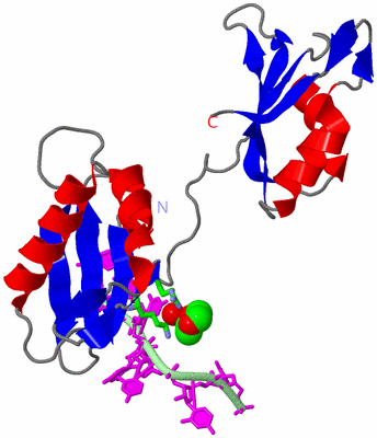 Image Asym. Unit - sites