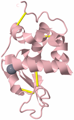 Image Biological Unit 3