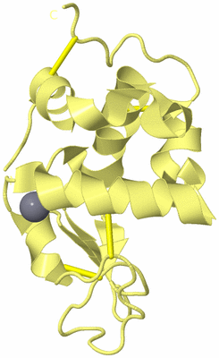 Image Biological Unit 4